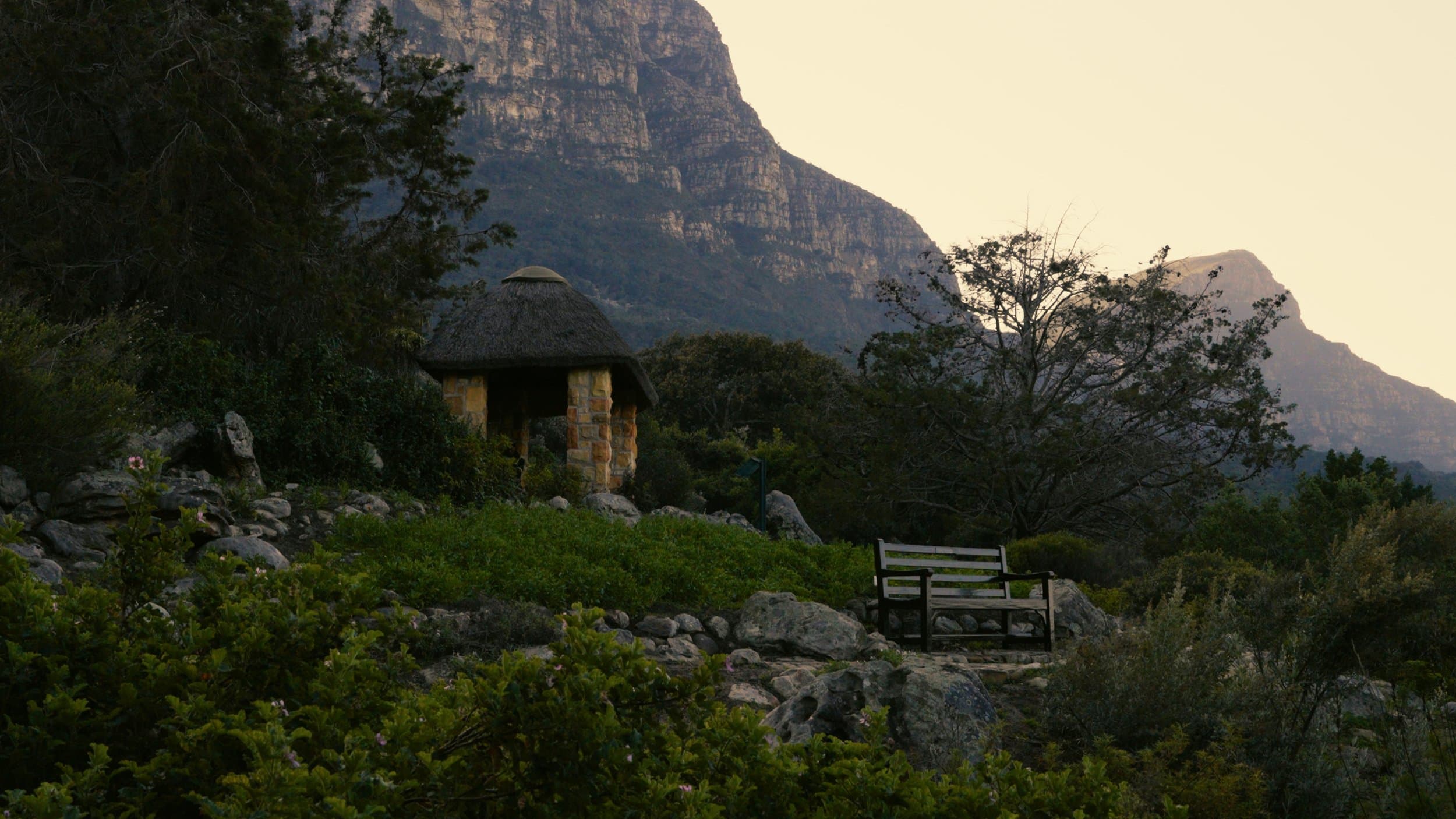 Before transformation