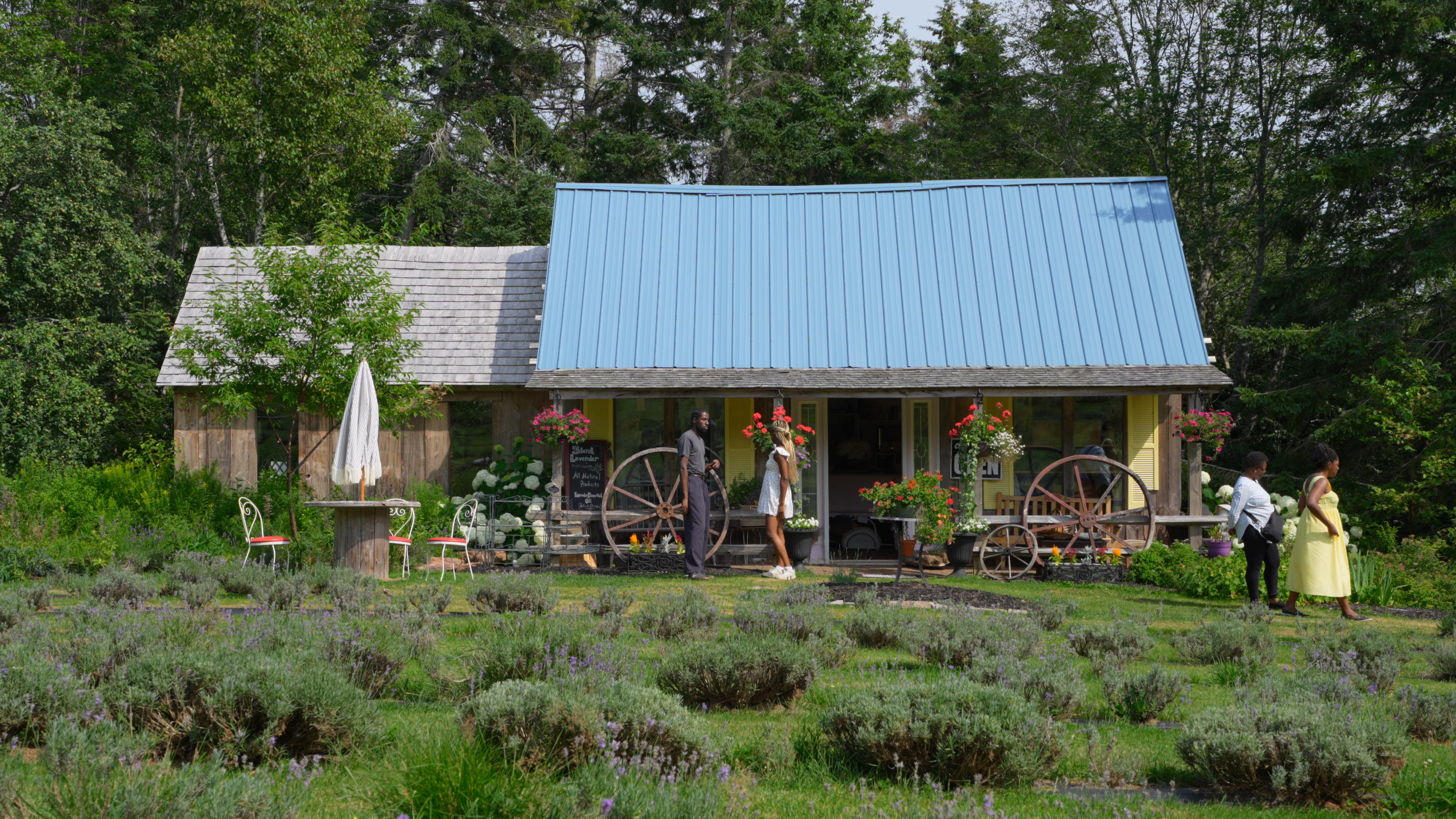 Before transformation